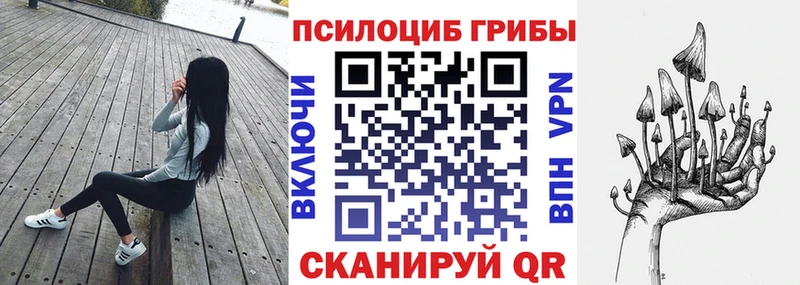 Псилоцибиновые грибы ЛСД Владивосток